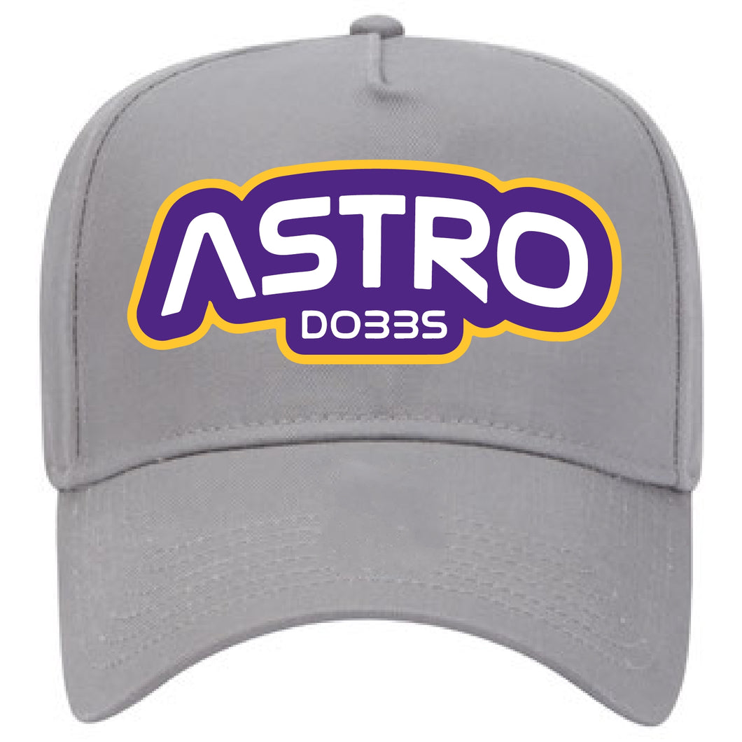 ASTRO Dobbs SnapBack II Light Gray - Purple and Gold 